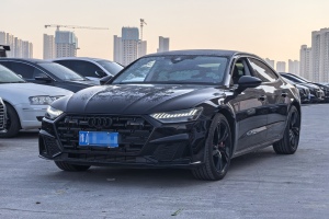 奥迪A7L 奥迪 45 TFSI quattro S-line 圣骑士