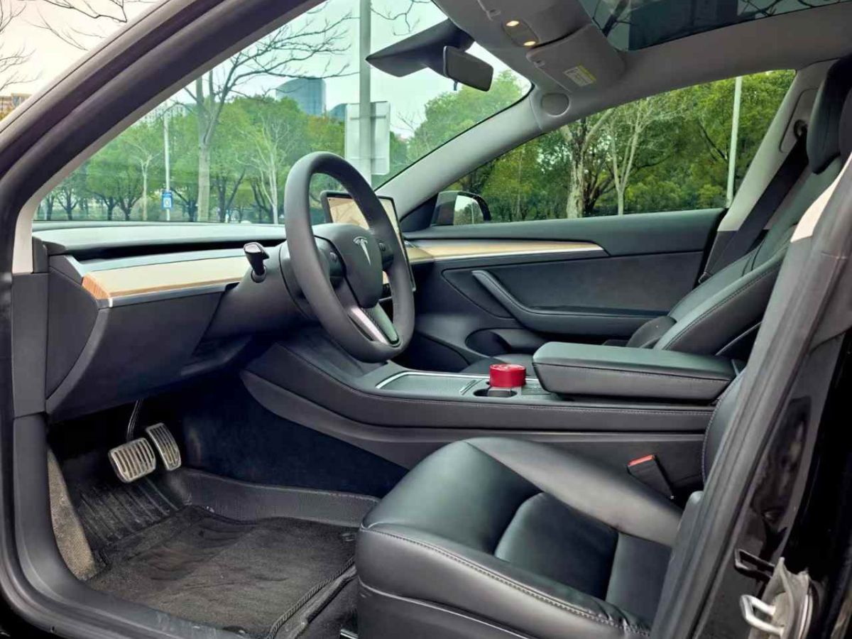 特斯拉 Model Y  2022款 Performance高性能全輪驅動版圖片