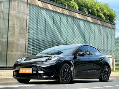 2021年1月 特斯拉 Model 3 标准续航后驱升级版图片