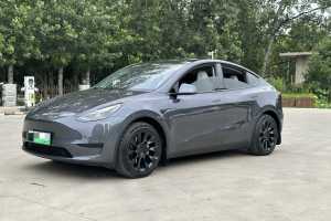 Model Y 特斯拉 改款 长续航后轮驱动版