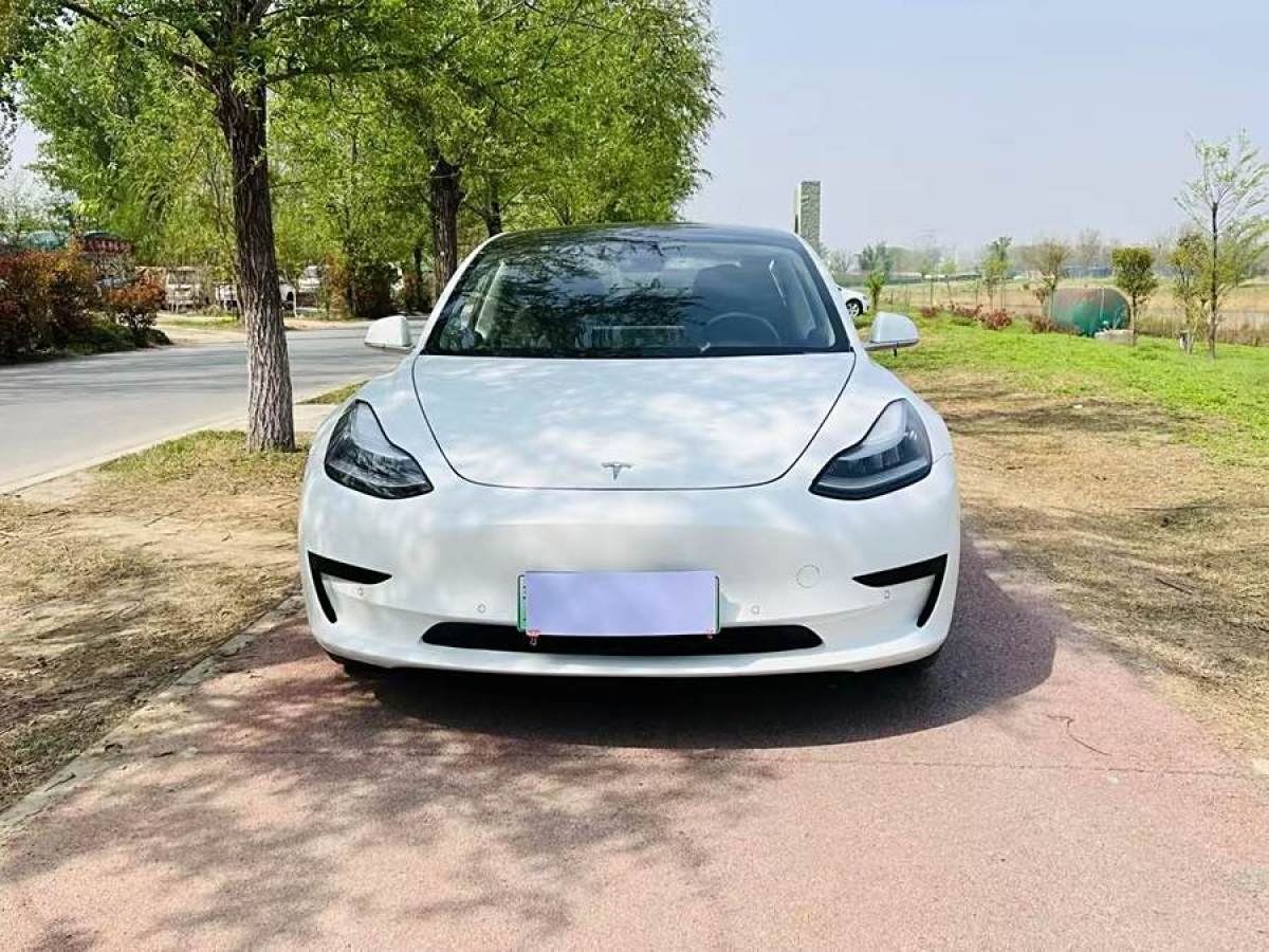 特斯拉 Model 3  2020款 改款 長續(xù)航后輪驅(qū)動版圖片