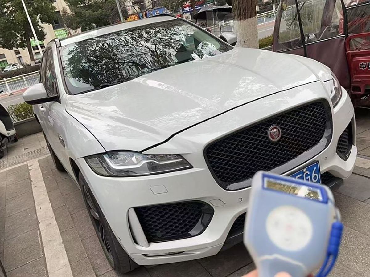 捷豹 F-PACE  2020款 2.0T 賽旗版圖片