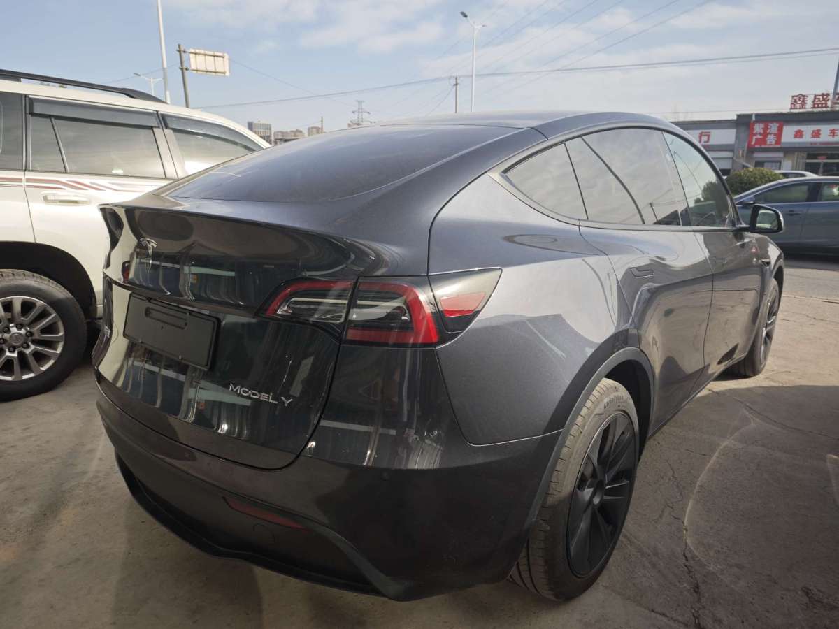 特斯拉 Model Y  2024款 后輪驅(qū)動版圖片