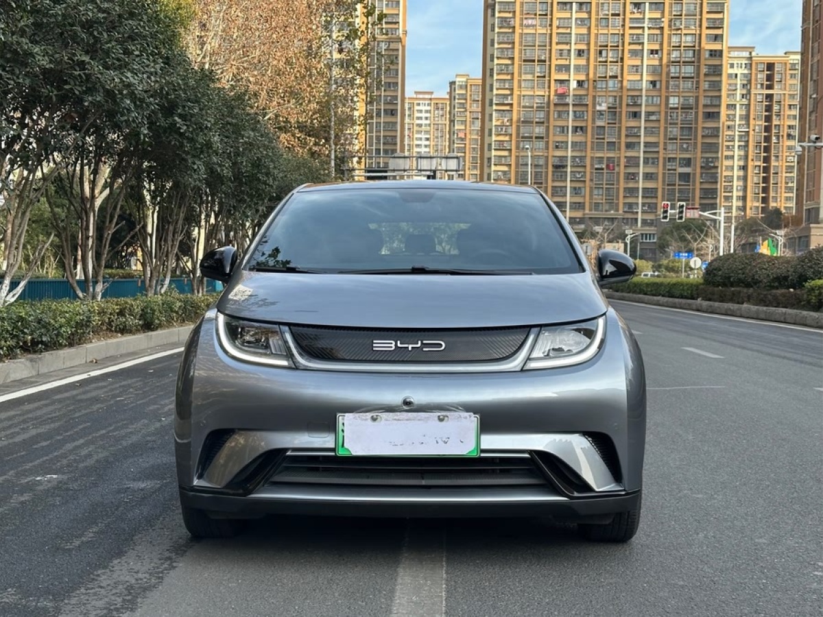 比亞迪 海豚  2023款 420km 時尚版圖片