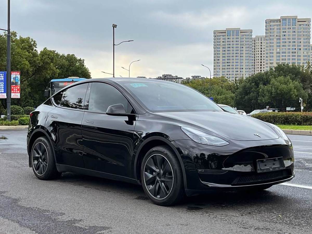 特斯拉 Model Y  2022款 改款 長(zhǎng)續(xù)航全輪驅(qū)動(dòng)版圖片