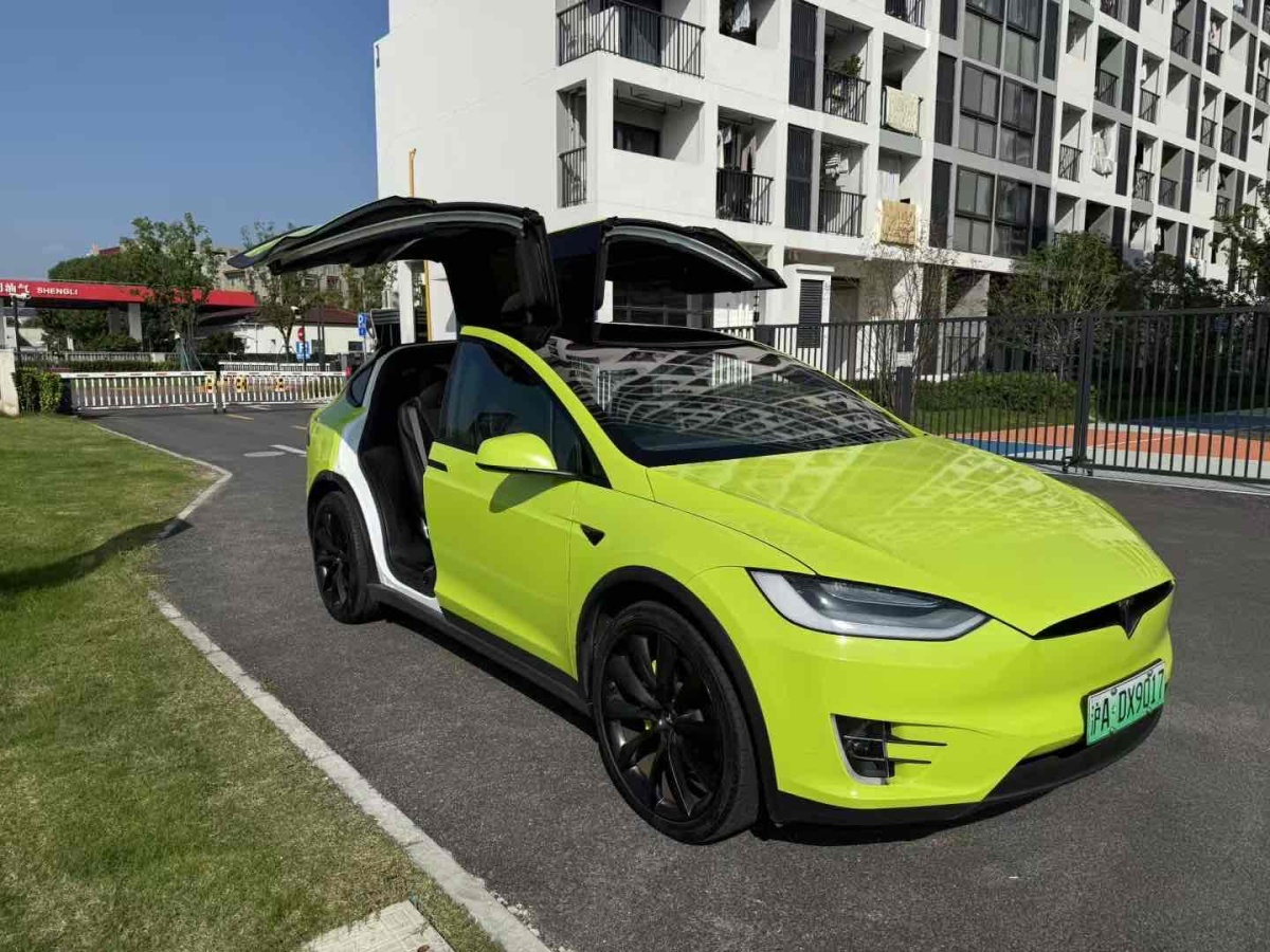 特斯拉 Model X  2019款 長(zhǎng)續(xù)航版圖片