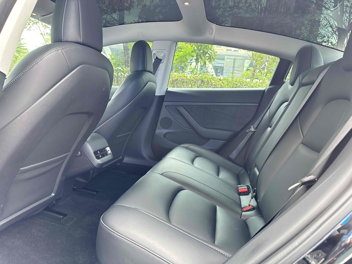 特斯拉 Model 3  2022款 后輪驅(qū)動(dòng)版圖片