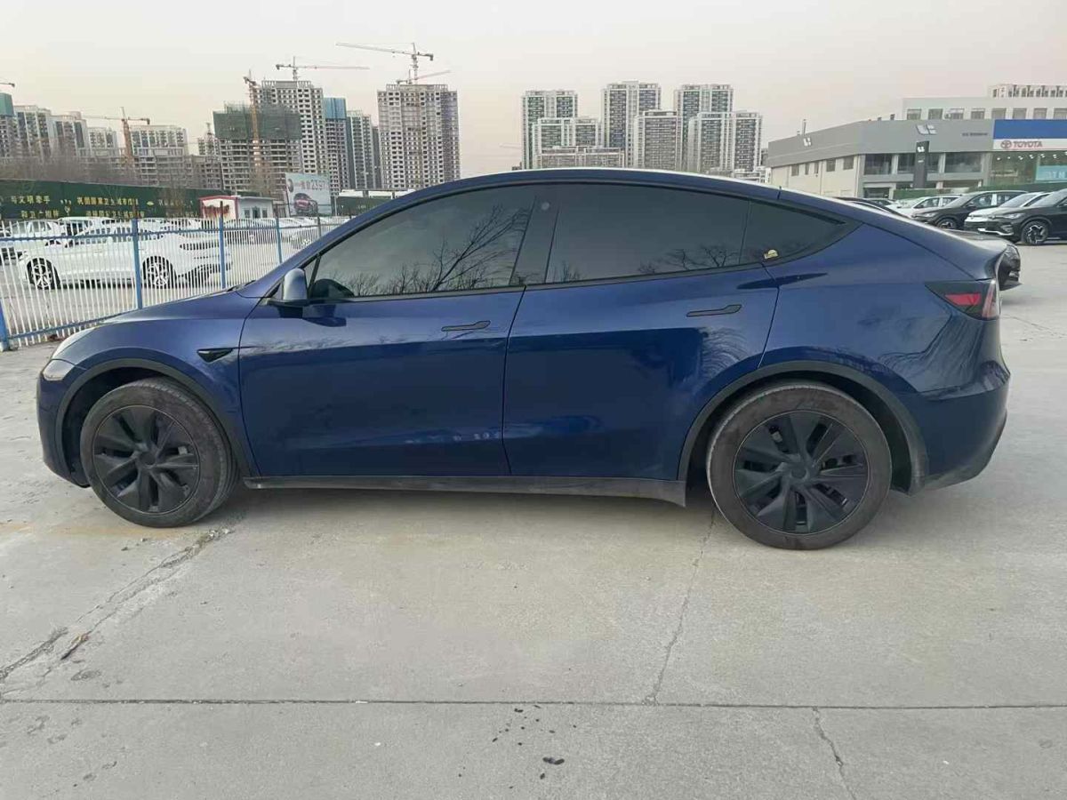 特斯拉 Model Y  2024款 Performance高性能版圖片