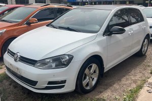 高爾夫 大眾 1.6L 自動舒適百萬輛紀(jì)念版