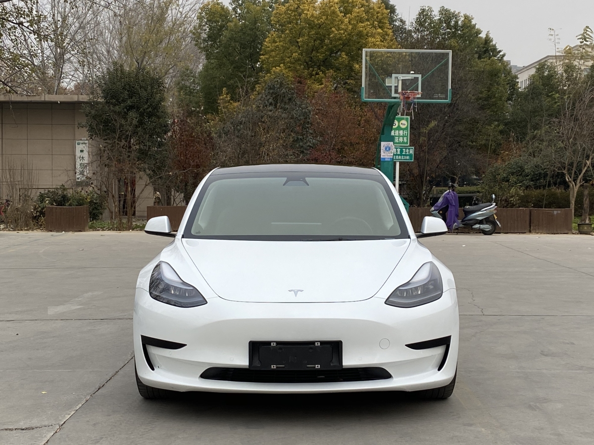 特斯拉 Model 3  2019款 標準續(xù)航后驅(qū)升級版圖片