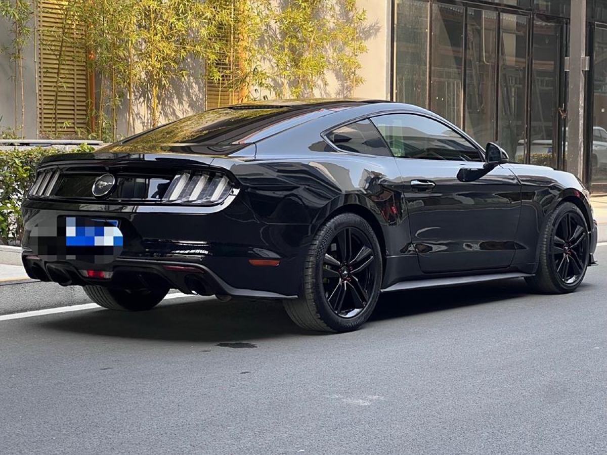 福特 Mustang  2015款 2.3T 性能版圖片