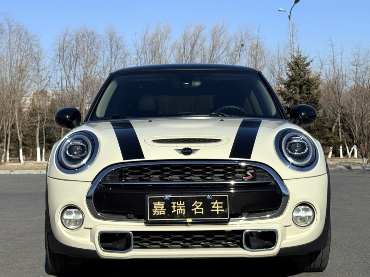 MINI MINI  2019款 2.0T COOPER S 藝術家圖片