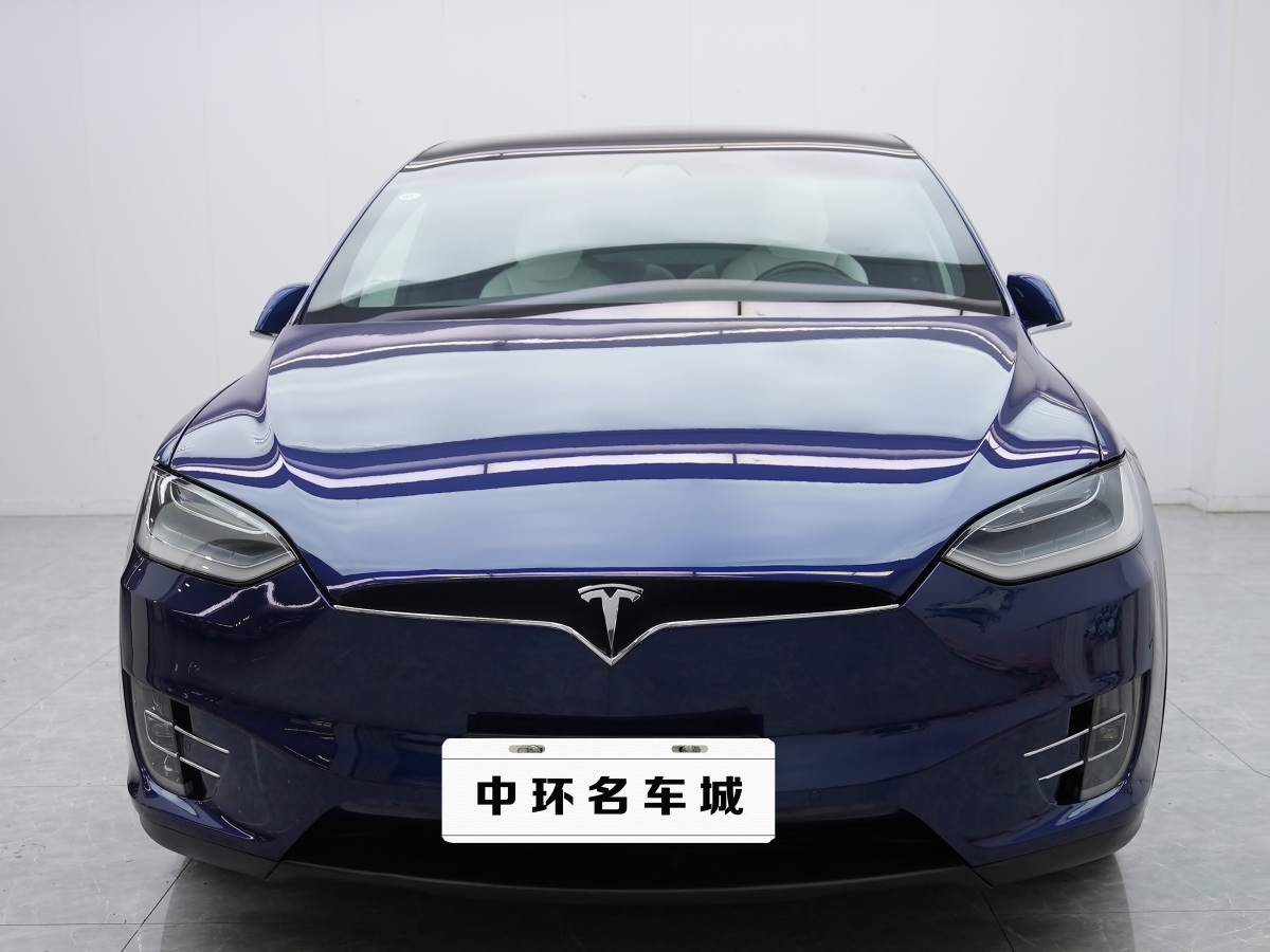 特斯拉 Model X  2016款 Model X 90D圖片