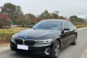 寶馬5系 寶馬 530Li 領(lǐng)先型 豪華套裝