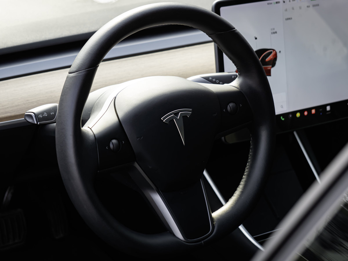 特斯拉 Model 3  2020款 改款 標(biāo)準(zhǔn)續(xù)航后驅(qū)升級(jí)版圖片