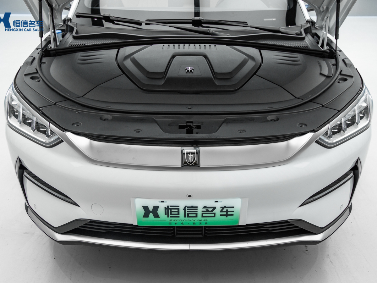 2022年4月比亞迪 宋PLUS新能源  2021款 EV 尊貴型