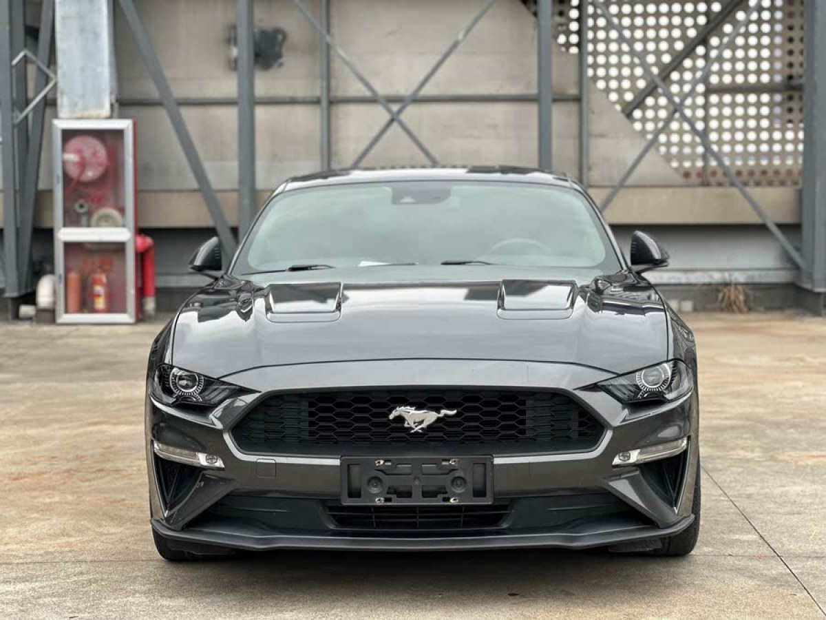 福特 Mustang  2021款 2.3L EcoBoost圖片