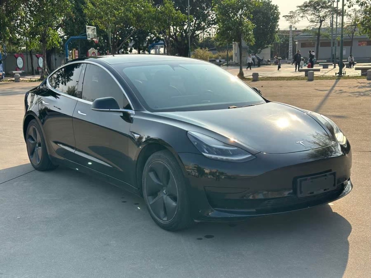 特斯拉 Model 3  2019款 標(biāo)準續(xù)航后驅(qū)升級版圖片