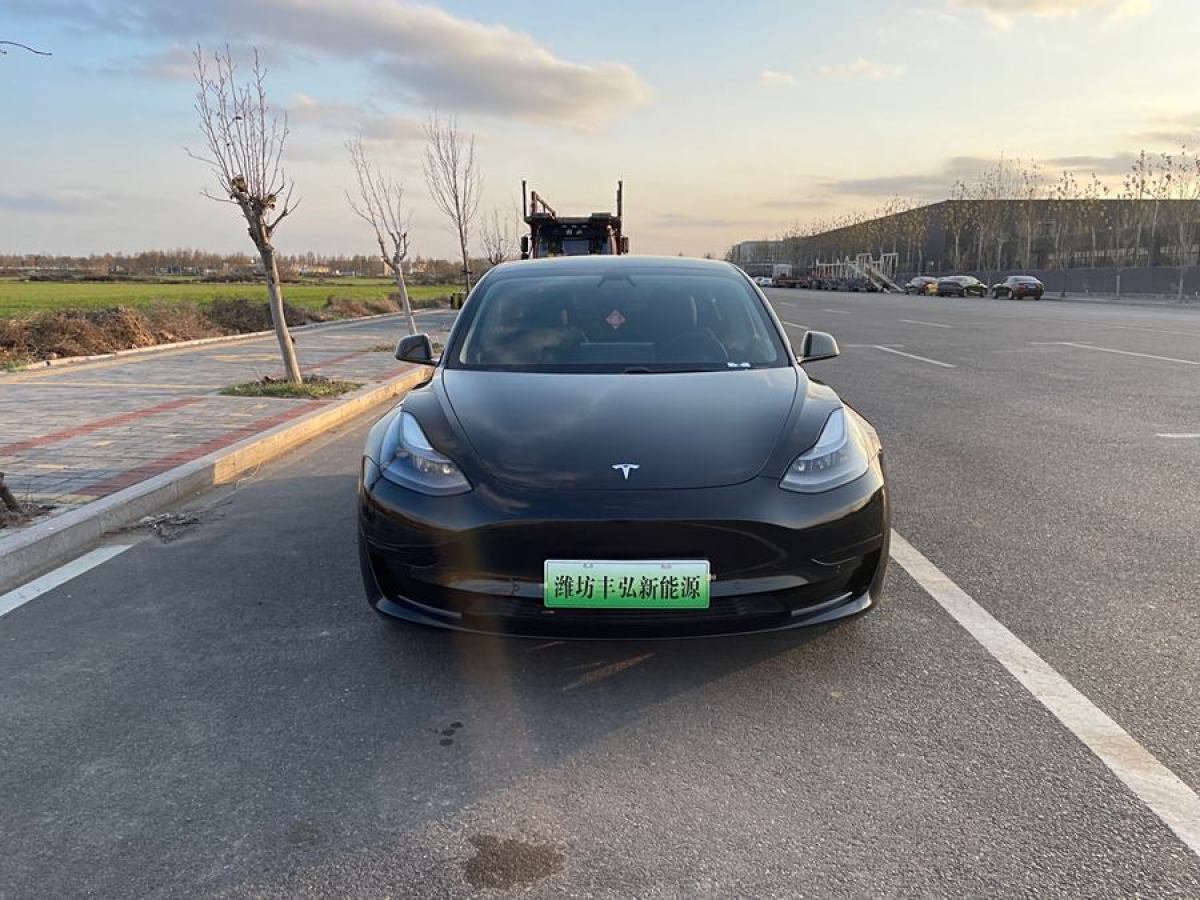 特斯拉 Model 3  2021款 改款 標(biāo)準(zhǔn)續(xù)航后驅(qū)升級(jí)版圖片