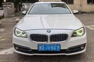寶馬5系 寶馬 530Li 2.0T 豪華設(shè)計套裝