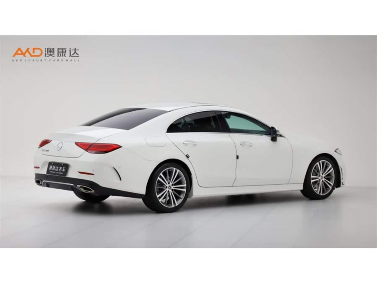奔馳 奔馳CLS級  2018款 CLS 300 豪華型圖片