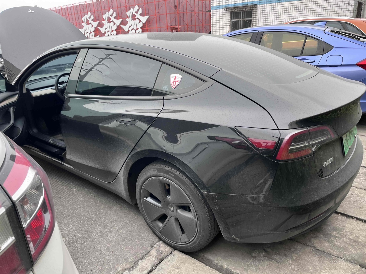 特斯拉 Model Y  2023款 后輪驅(qū)動(dòng)版圖片