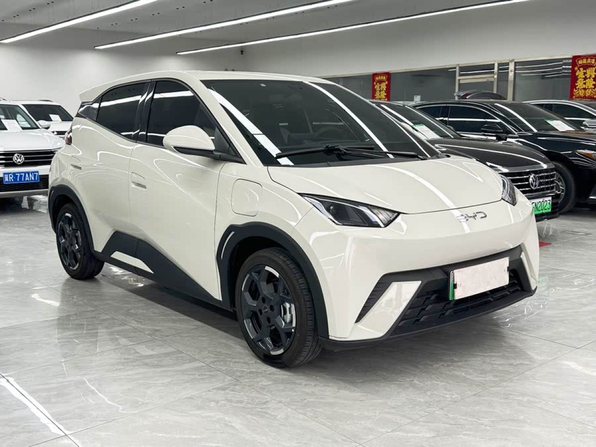 比亞迪 海鷗  2025款 305km 自由版圖片