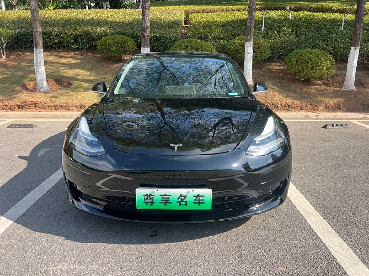 特斯拉 Model 3  2020款 改款 標(biāo)準(zhǔn)續(xù)航后驅(qū)升級(jí)版圖片