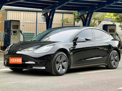 2022年3月 特斯拉 Model 3 后輪驅(qū)動版圖片