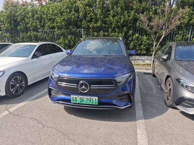 2022年1月 奔馳 奔馳EQA EQA 300 4MATIC 首發(fā)特別版圖片