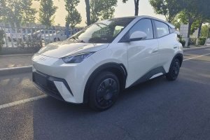 海鷗 比亞迪 305km 活力版