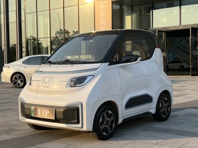 2021年12月 五菱 五菱NanoEV 玩乐款-高功率版图片