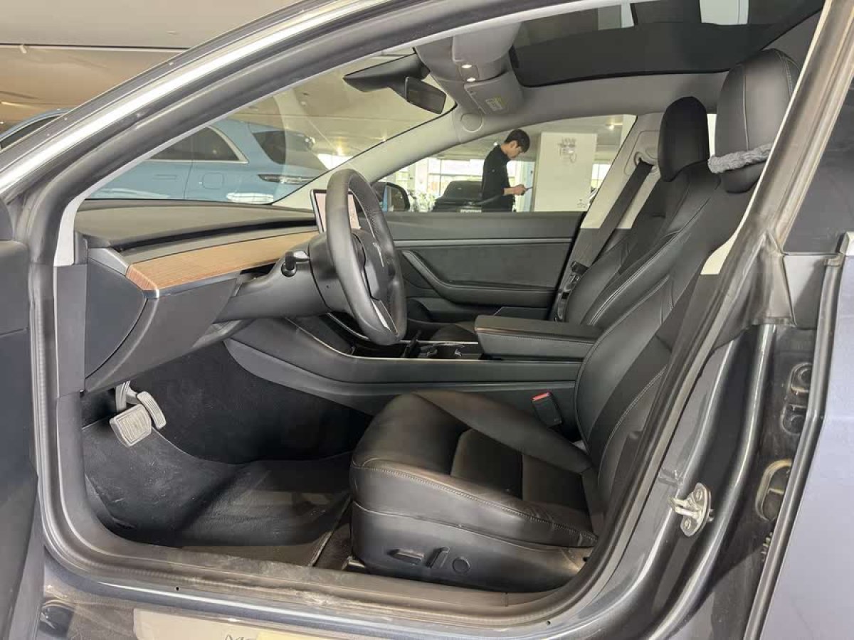 特斯拉 Model 3  2019款 標(biāo)準(zhǔn)續(xù)航后驅(qū)升級版圖片