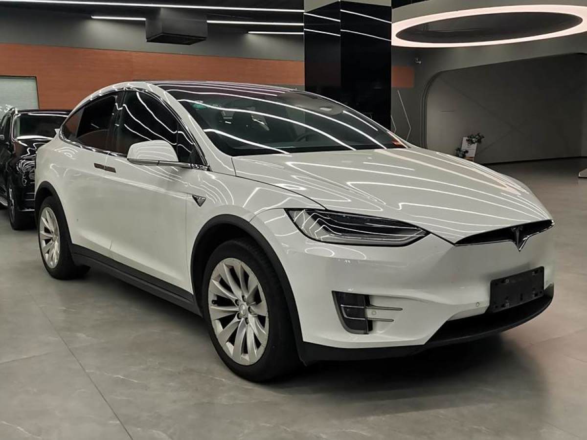 特斯拉 Model X  2019款 長續(xù)航版圖片