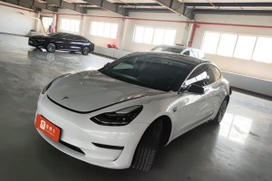 Model 3 特斯拉 改款 長續(xù)航后輪驅(qū)動版