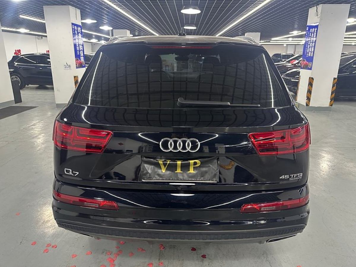 奧迪 奧迪Q7  2019款 45 TFSI S line運動型圖片