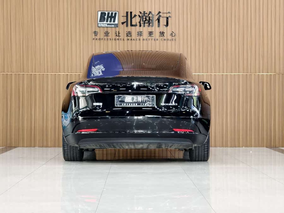 特斯拉 Model 3  2021款 標(biāo)準(zhǔn)續(xù)航后驅(qū)升級(jí)版 3D6圖片