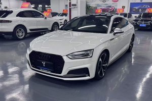 奧迪A5 奧迪 Cabriolet 40 TFSI 時(shí)尚型