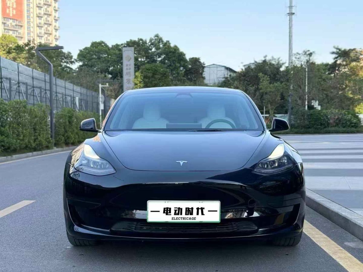 特斯拉 Model 3  2022款 Performance高性能全輪驅(qū)動(dòng)版圖片