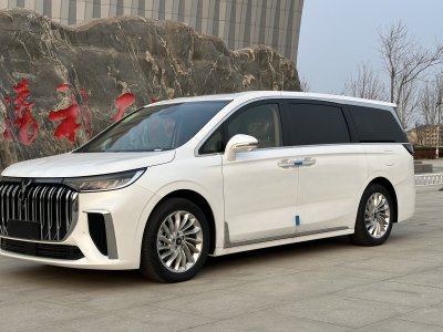 2025年1月 嵐圖 夢(mèng)想家 PHEV 超長(zhǎng)續(xù)航卓越版圖片