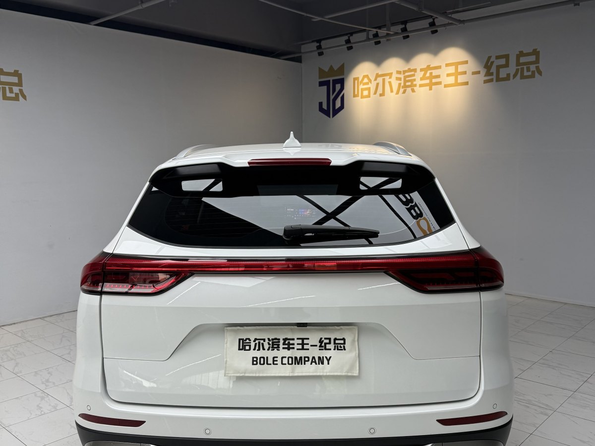 2023年6月哈弗 H6  2023款 國(guó)潮版 1.5T 自動(dòng)都市版