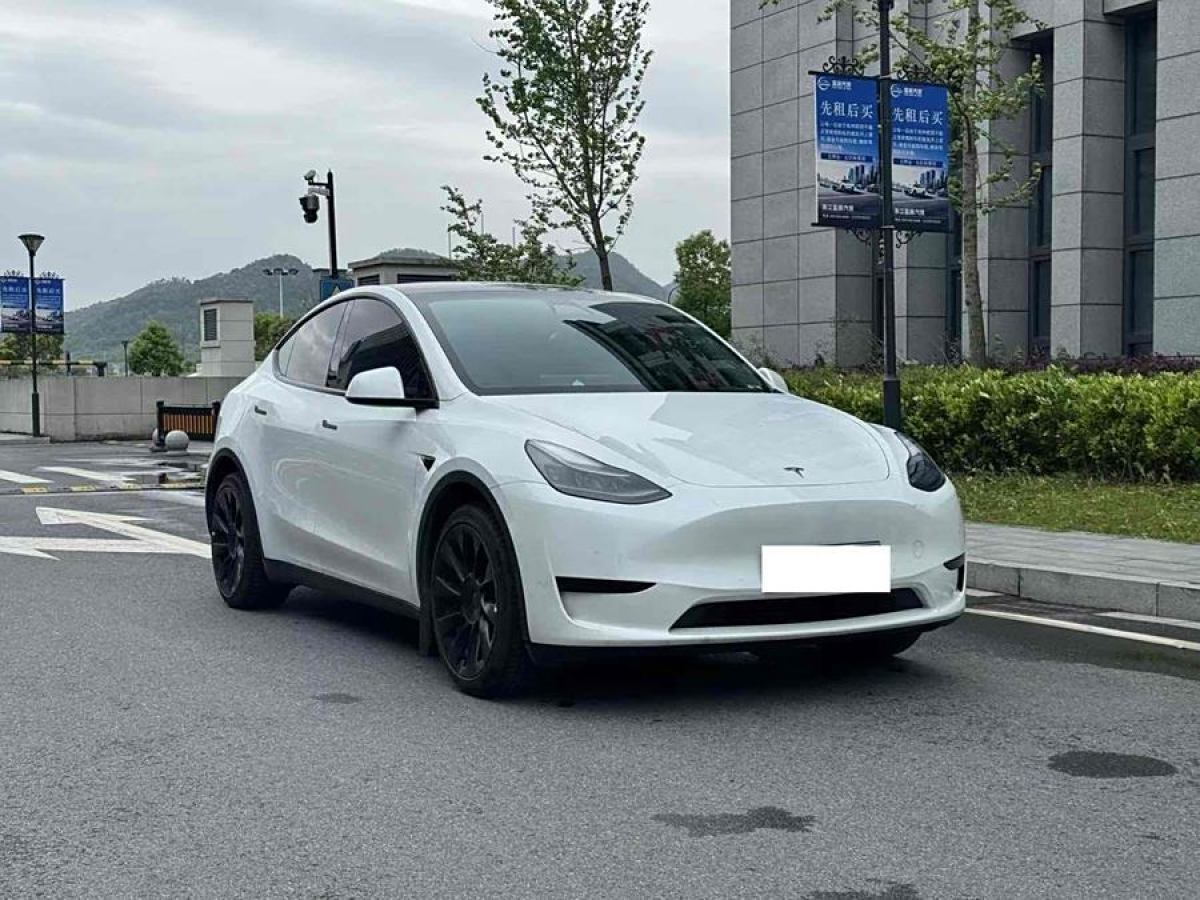 特斯拉 Model Y  2021款 改款 長續(xù)航全輪驅(qū)動版圖片