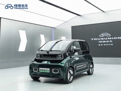 2022年1月 寶駿 寶駿KiWi EV 設(shè)計師輕享版 三元鋰圖片