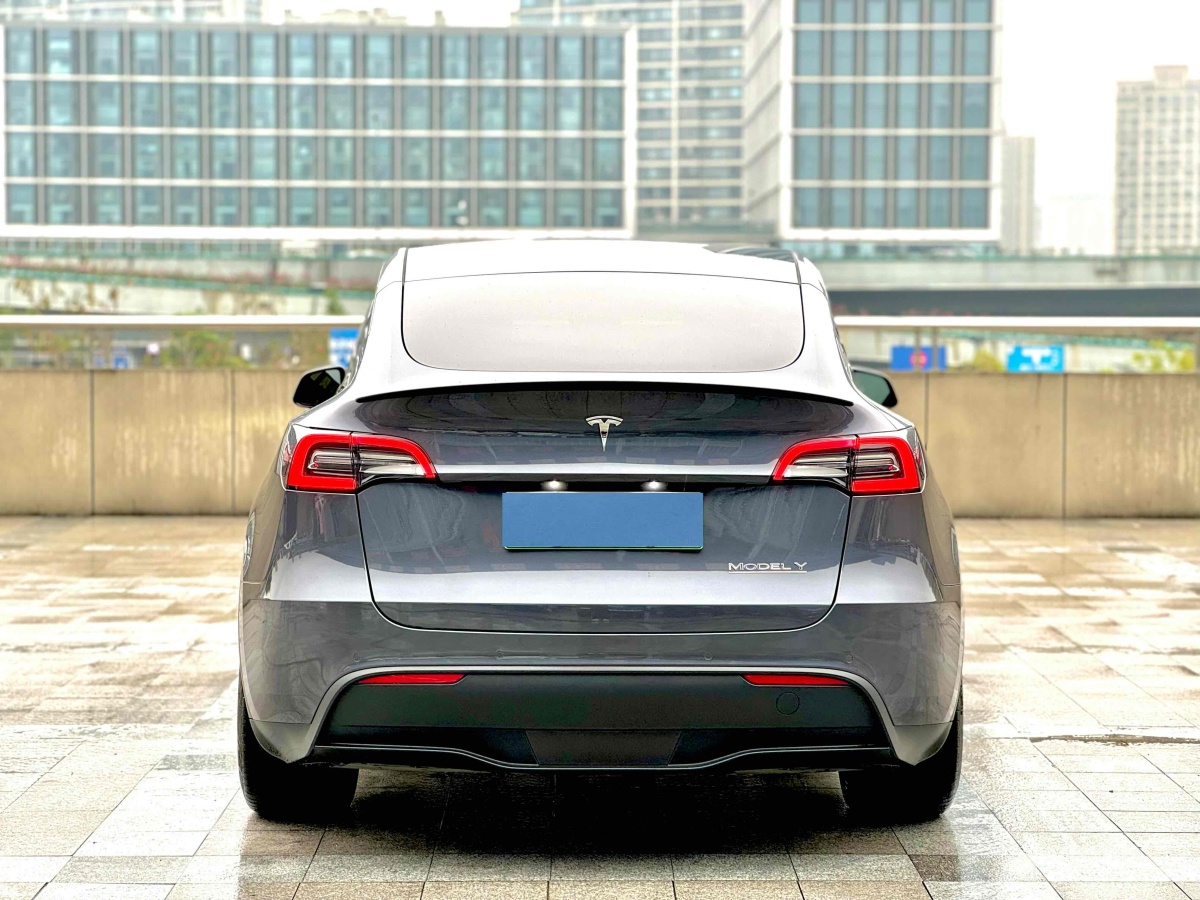 特斯拉 Model Y  2021款 改款 Performance高性能全輪驅動版圖片