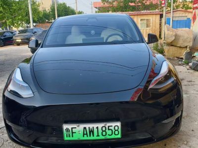 2021年1月 特斯拉 Model S Performance 高性能版圖片