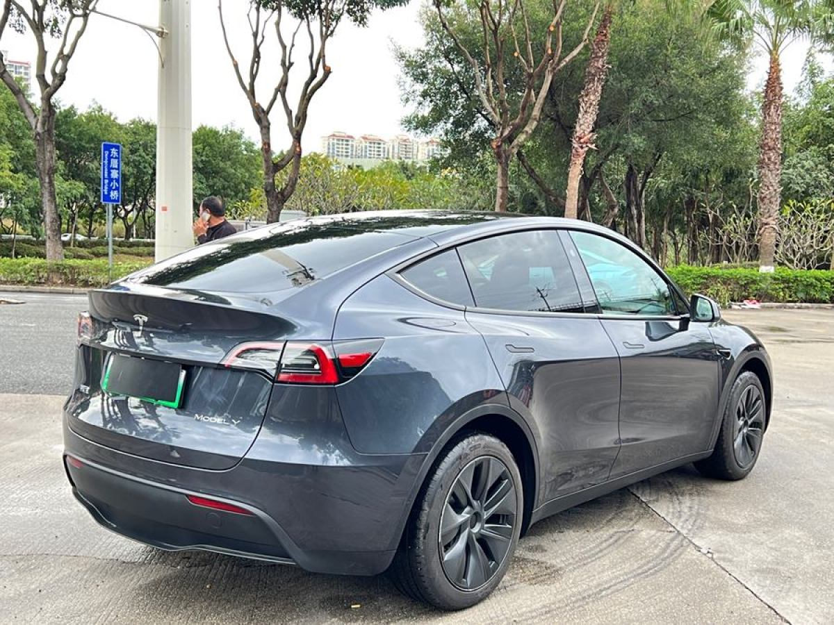 特斯拉 Model 3  2020款 改款 長續(xù)航后輪驅(qū)動(dòng)版圖片