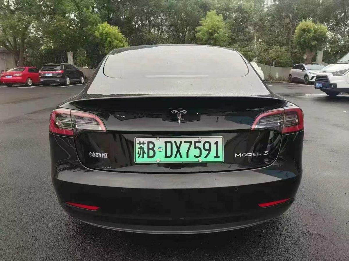 特斯拉 Model 3  2022款 Performance高性能全輪驅(qū)動版圖片