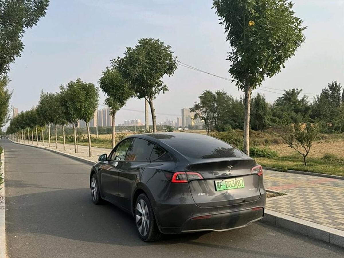 2022年11月特斯拉 Model Y  2022款 后輪驅(qū)動(dòng)版