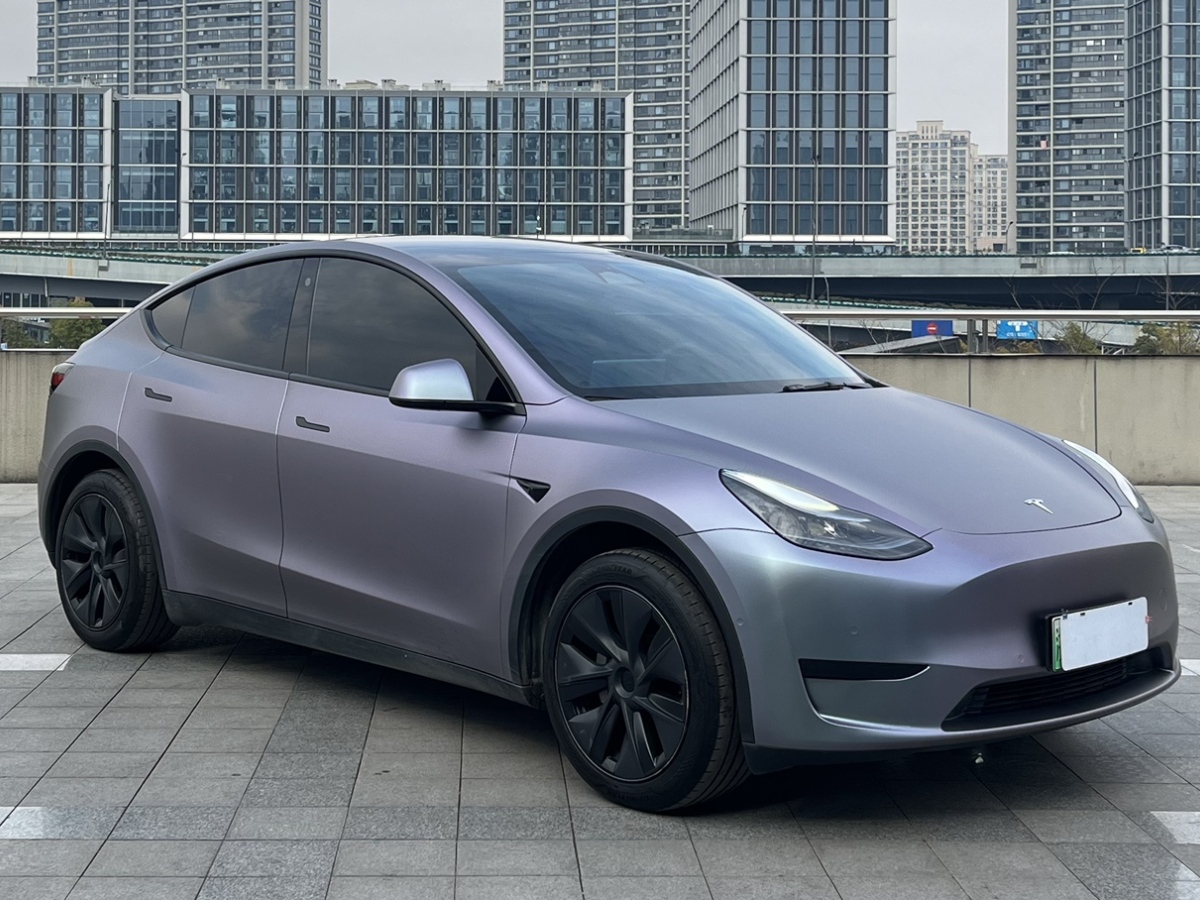 特斯拉 Model 3  2021款 改款 標(biāo)準(zhǔn)續(xù)航后驅(qū)升級(jí)版圖片