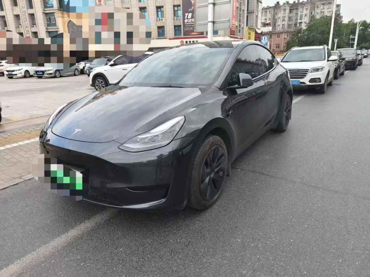 特斯拉 Model Y  2024款 Performance高性能版圖片